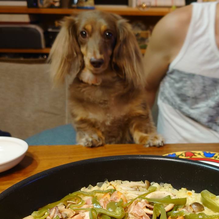 56944ab6 0cc9 4813 a842 70a220a99588 1632475064205