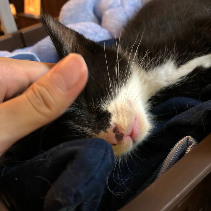 56946279 48cb 4bd5 9d9d 20c3e56bd073 1537789419196