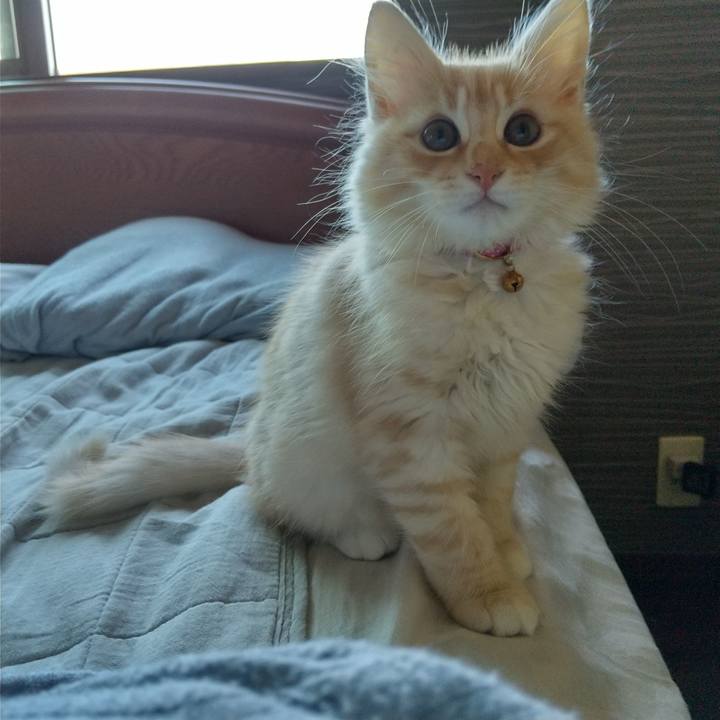 569483ed 6f81 4924 88f4 958f8cc98fc9 1605397982431