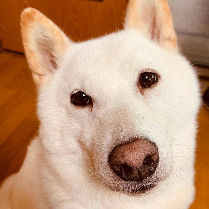 569489ec bce3 402b b611 1253546348fd 1596317855462