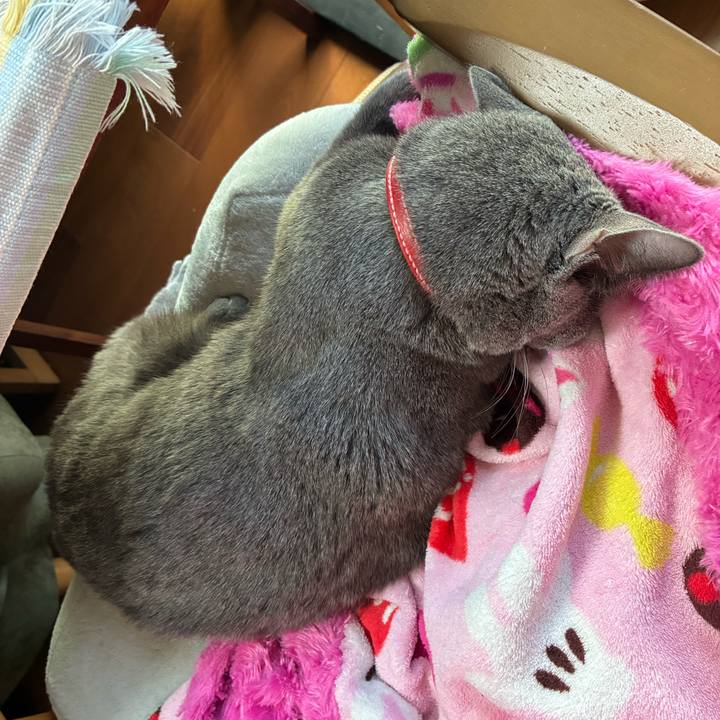 5694e41c 6aa9 433c 93df 82f4c3b0006e 1771305668670