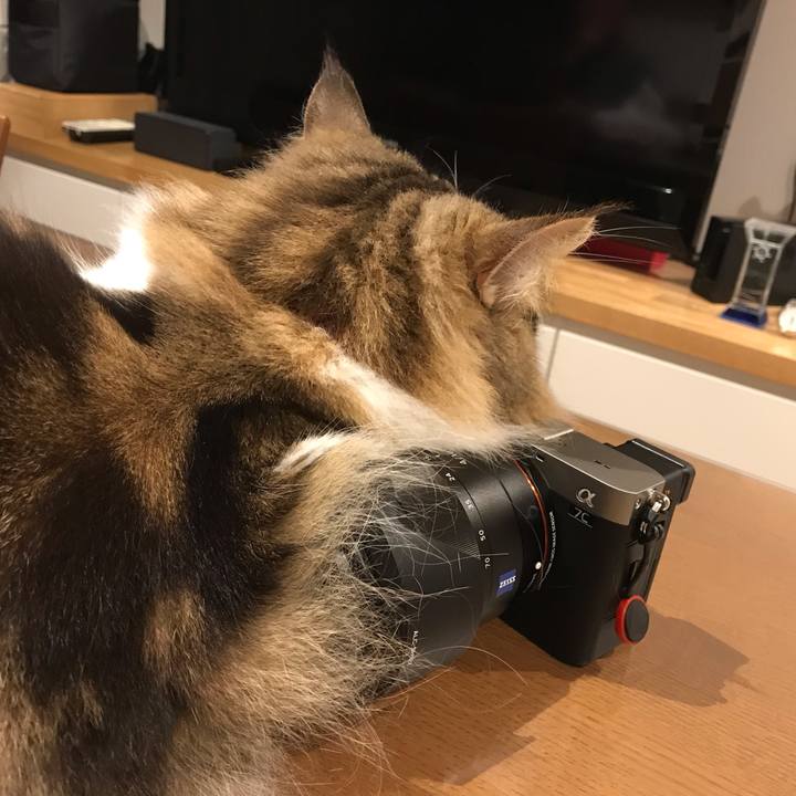 5694fb72 a814 4d2a b076 7b618e6dd4a8 1613912145948