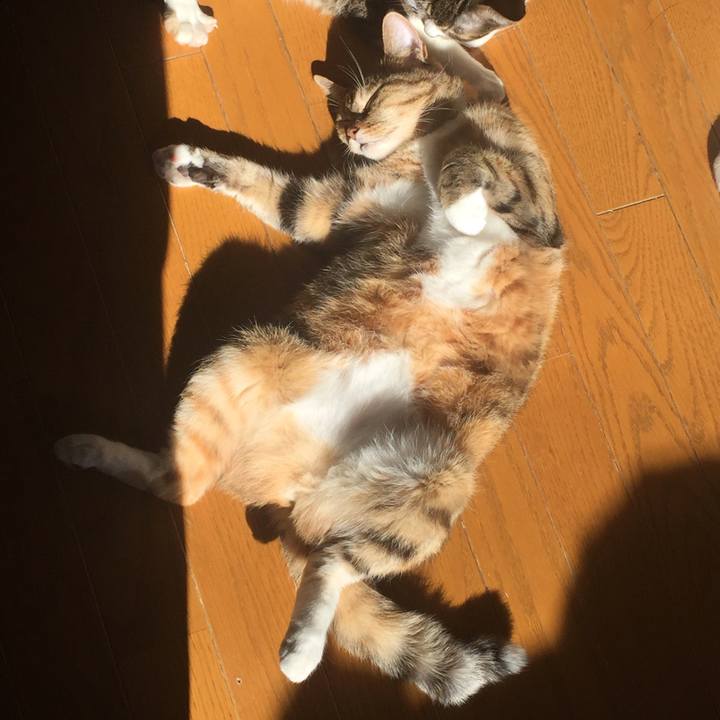 56951341 1cd2 4380 9802 bbbc92aa491c 1548127791787