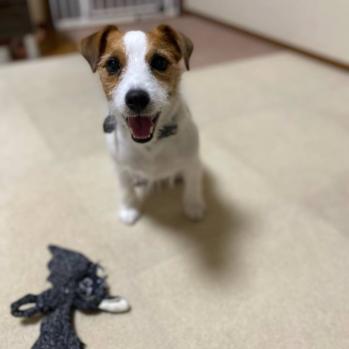 56956333 df03 4f99 9837 f53164208e10 1752097720646