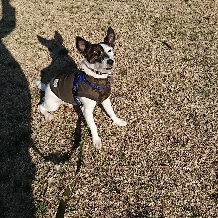 56957cac ac2f 405a 91d4 dc0e49e7b34e 1519884560403