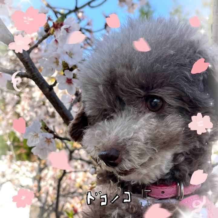 5695cbb0 5248 4a9b ac20 8ce2901492ce 1744364182278