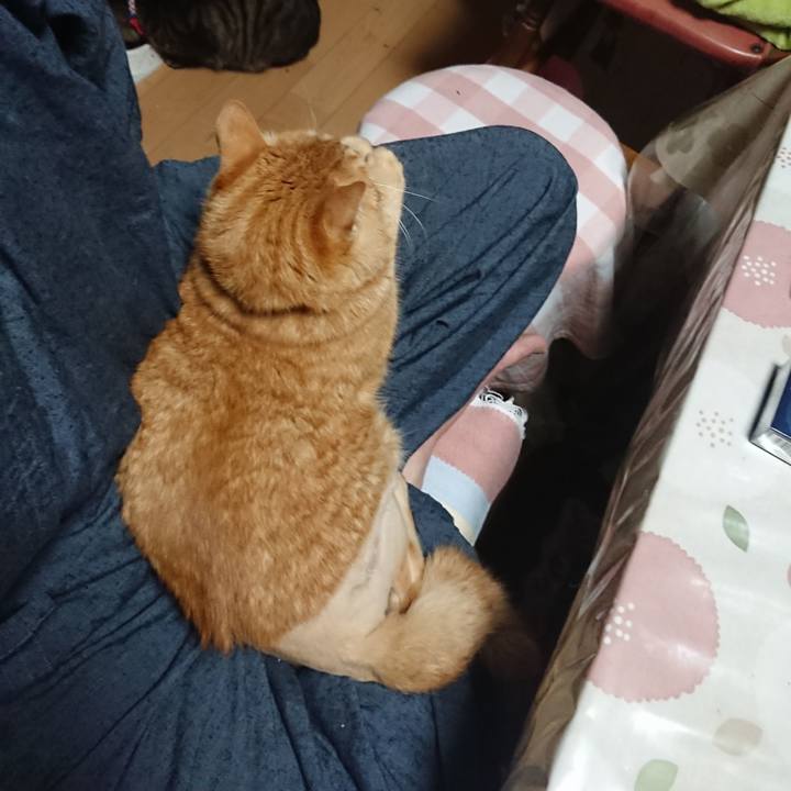 5695d0e1 5354 4cd6 acba 6064ea16ece3 1653993928071