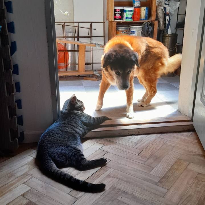 5695de3a 3a2a 4b32 89c1 25fcd090119a 1770776186710