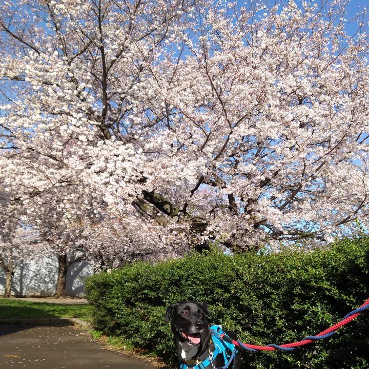 56960361 011e 48f1 92b8 758e9e353044 1616979891397