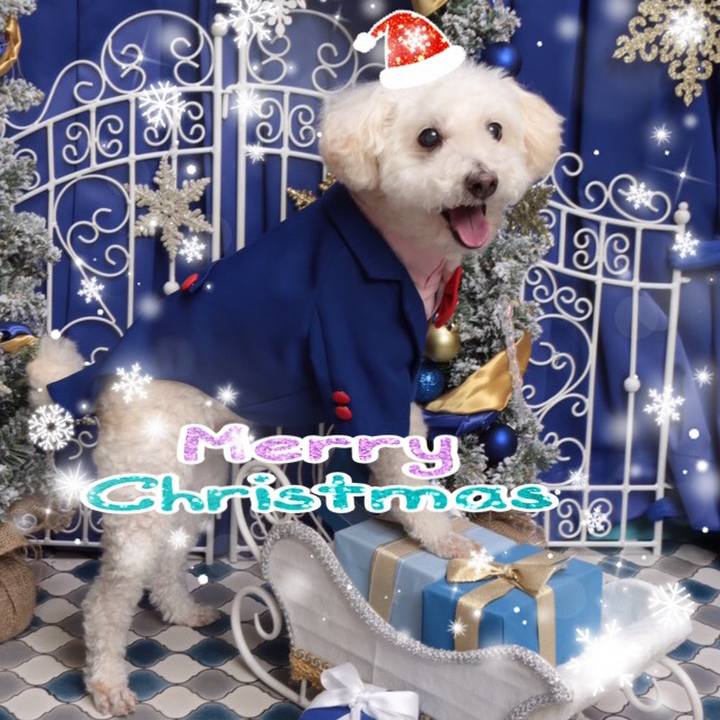 569615f7 5e80 408e 98b4 b70fbaaf1d8e 1545546944842