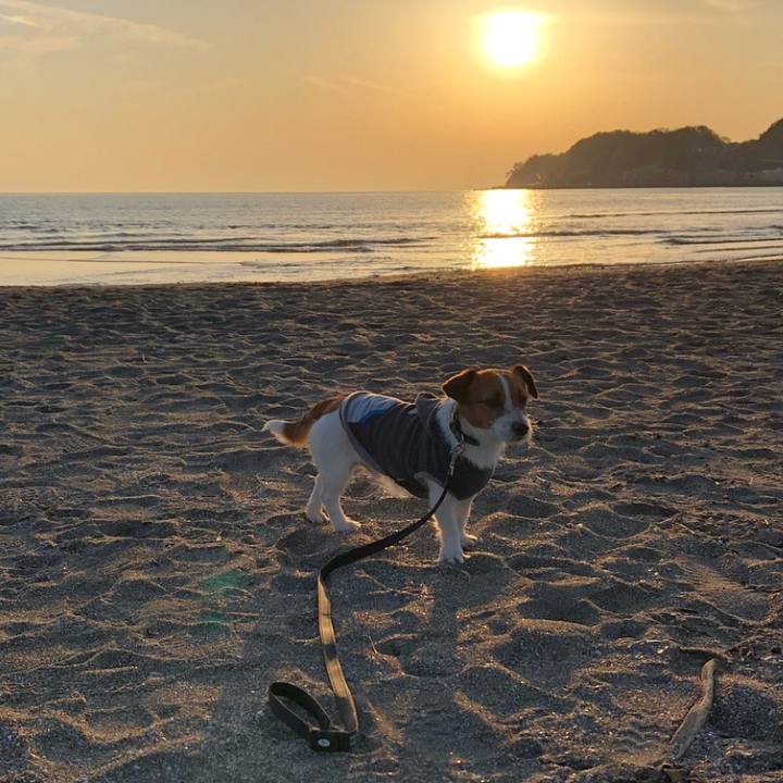 5696a5a1 d663 4b46 8474 103c2e4a522a 1518184444295