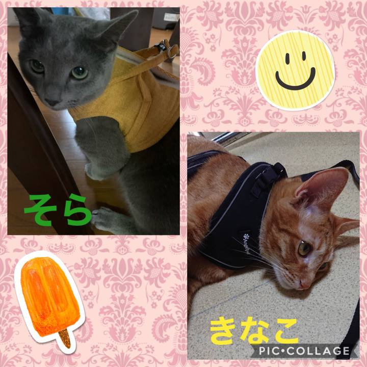 5696b80d 1ede 490b a28c ff7d06499a19 1597012709313