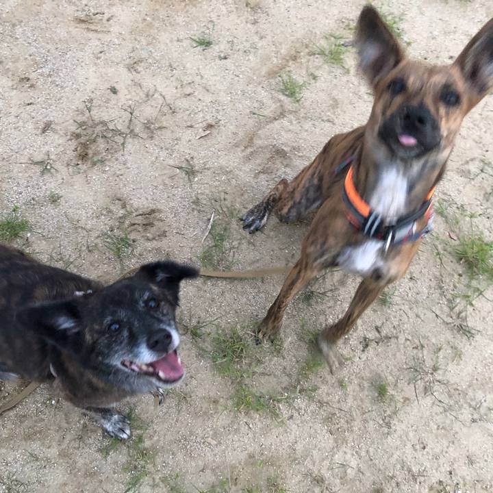 5696c774 d98f 4015 be07 372c2fc9a9e8 1600774110381