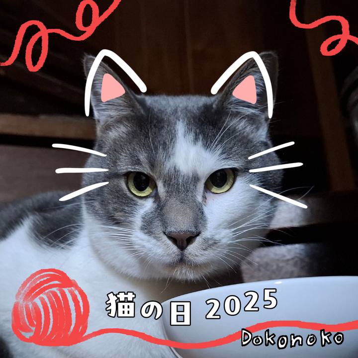 5696f5f1 3dec 4105 b2b9 24f92251a5ef 1740276805278