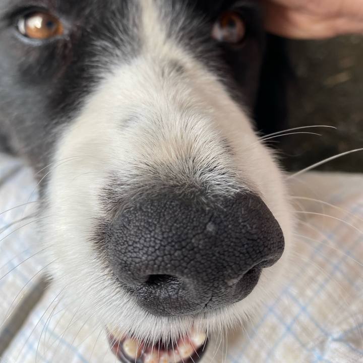 56971155 6a75 4170 ad6c f0fa3cb31bf2 1649636222782