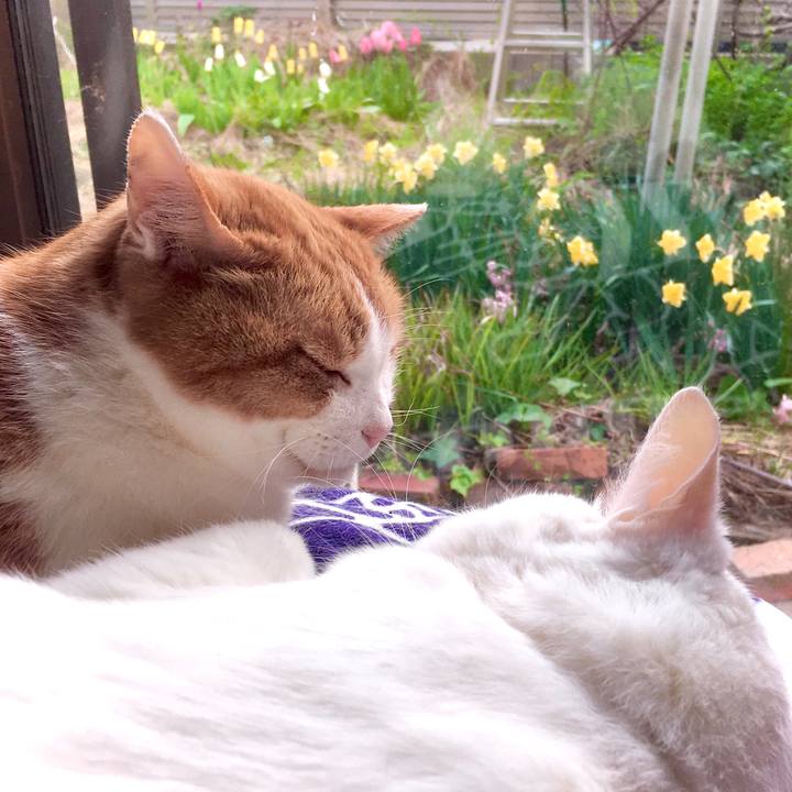 56977ba1 9883 448d b53f 23c1d5e92e11 1587528533093