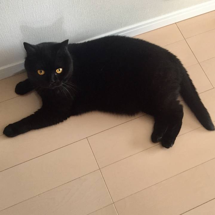 56978237 f25b 4087 a099 74e24f721708 1594955808928