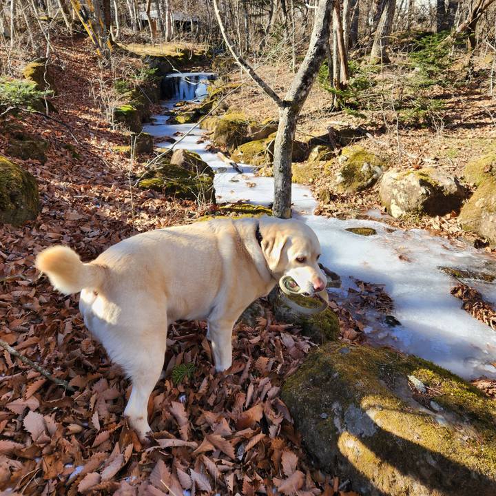 5697828b 7df4 42e6 a674 09f9420709be 1703560651649