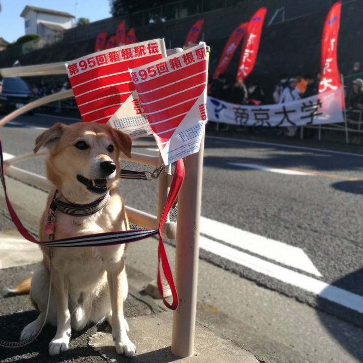 56979a8c 3a1a 4699 a369 41c2b1742b81 1546403136208