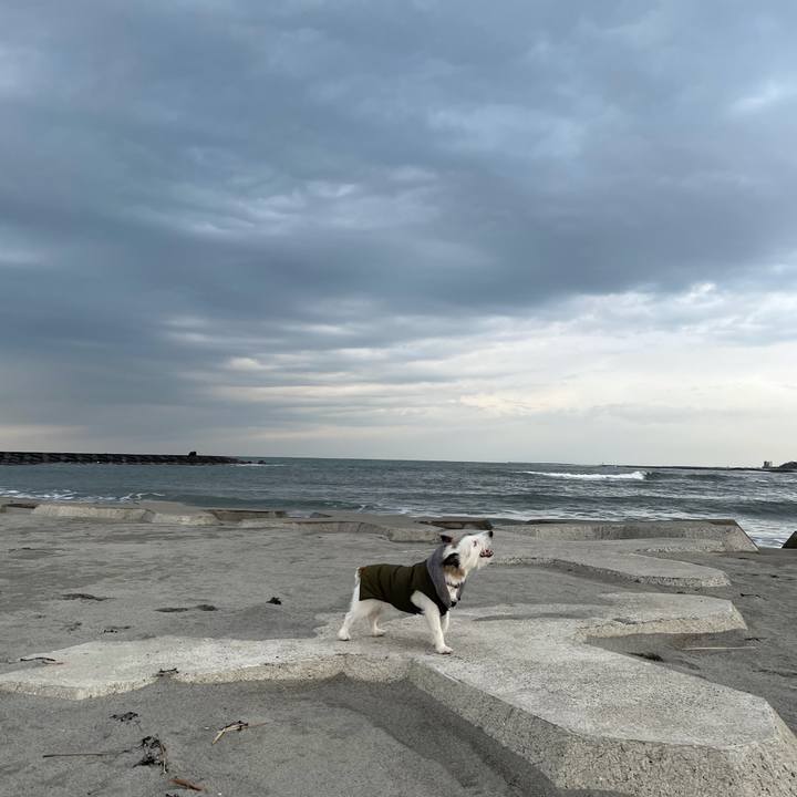 5697d5d1 ea7b 46ed 9a3e caae89b93909 1611820744607