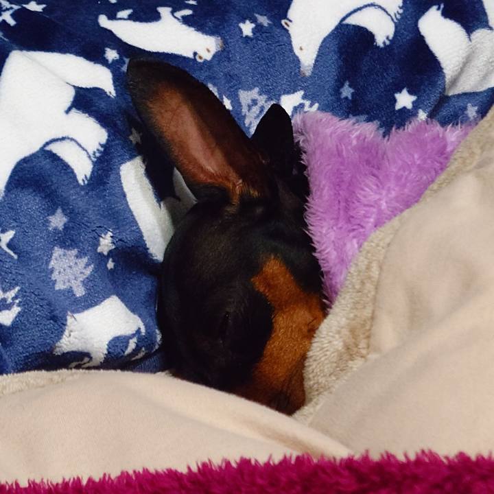 5697f753 71f4 449a ab1e 23ac3d59f368 1769864697990