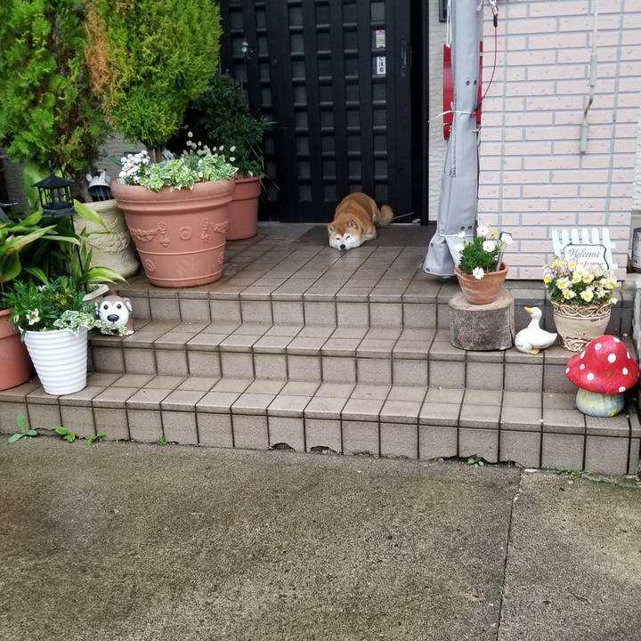 5697fc04 bb46 40ae 81e6 ab7176d864f1 1621555006211