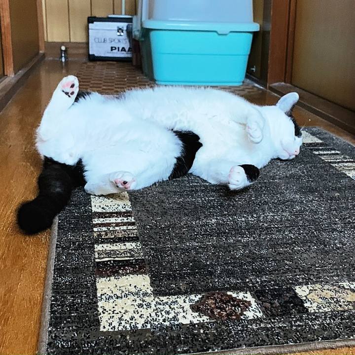 56983f41 be8f 498e bcbd 05b2ad61b6b7 1555037823030