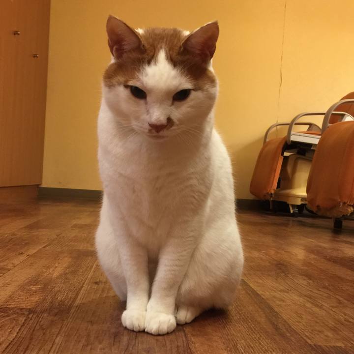 56984dc0 c4ea 4799 ba96 0be817da0302 1513771545551