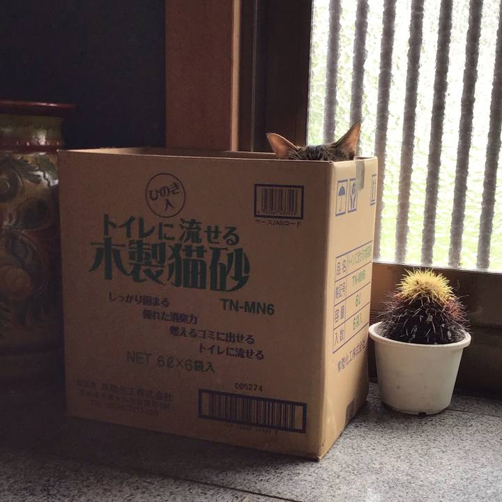 569885b0 bde4 4bc6 a7dd 3c1bbb2a10ef 1596000542484