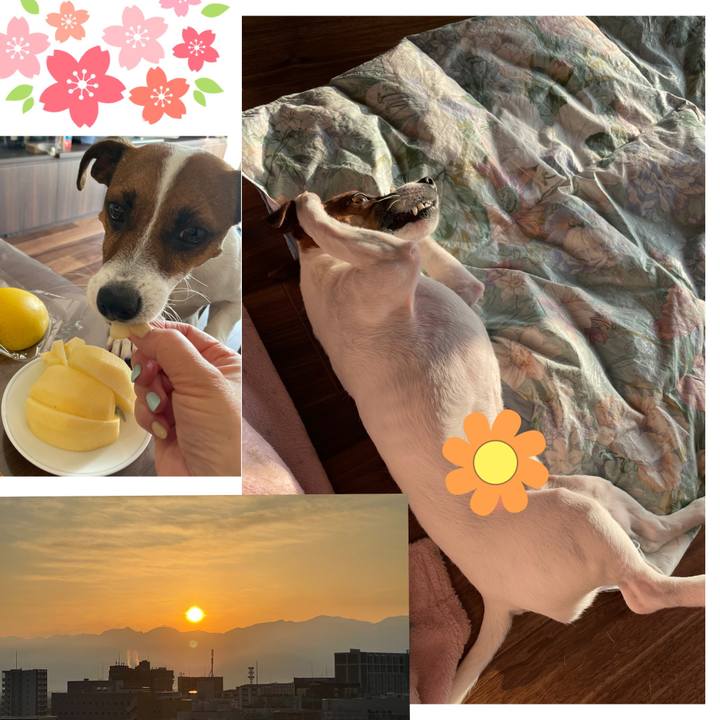 5698f54f aa83 4a03 bf30 ffccc09caf34 1648943662609