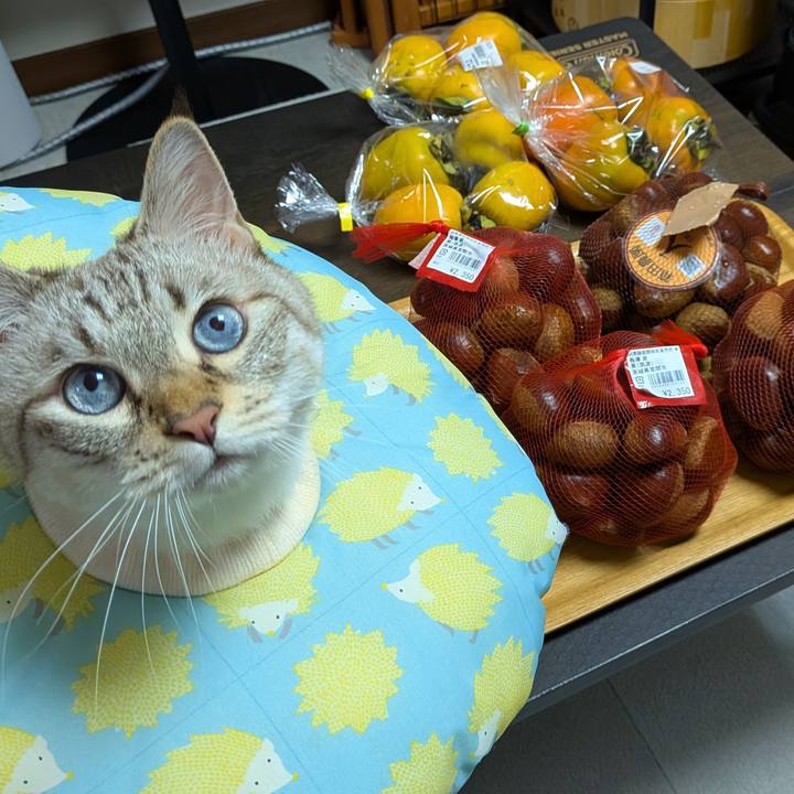 56991420 0a32 44cf b7ee 3c3f9286e37a 1760705449898