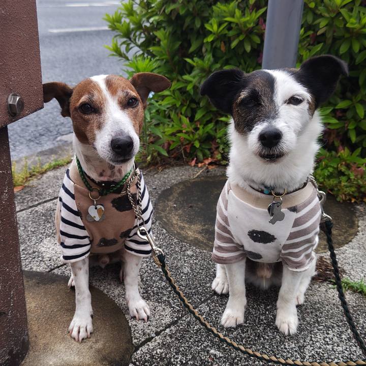 56993dd9 db1a 4dd3 868b 65d180cf0cf8 1747000772922