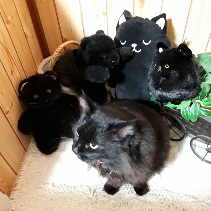 5699450a 6951 447a b9b3 3c7cf19f72da 1516910191044