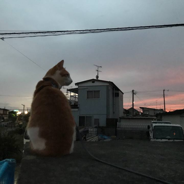 569981f2 419c 4389 9c80 075d6b4d31fa 1508075564325