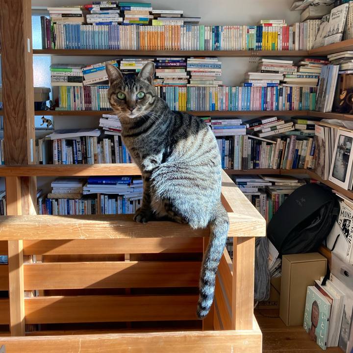 5699854f a10f 447d 8c2a 47378f73cd2c 1709944747927