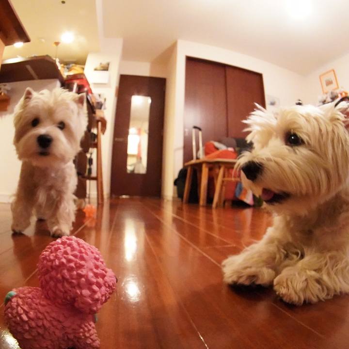 56998daa bca8 4e85 8d7a e76615f4bfaa 1519823995396