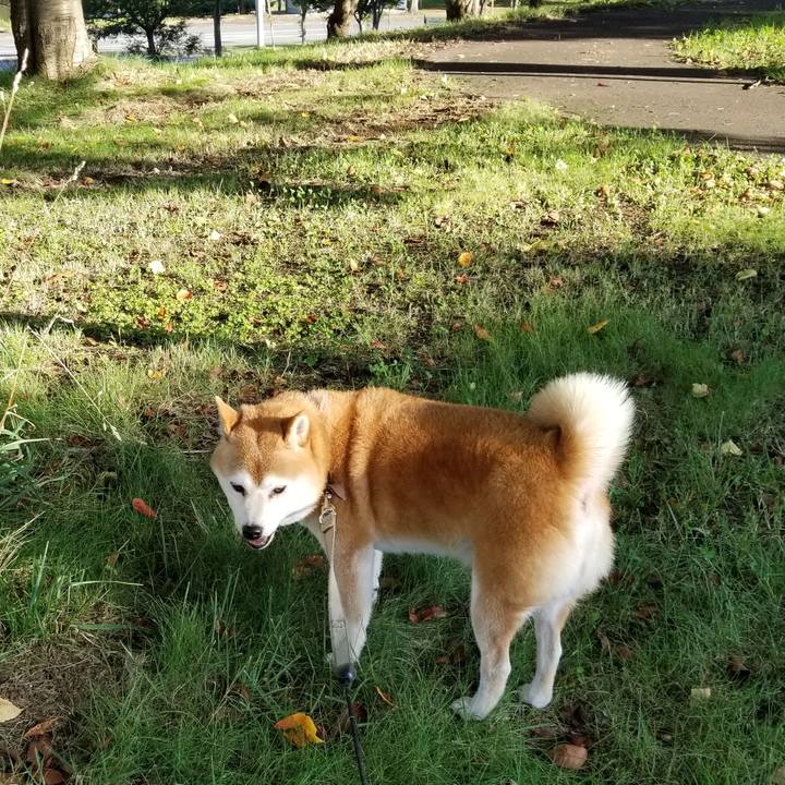 56999d30 6d05 4d41 99f2 a87a95bef9f1 1632036074557