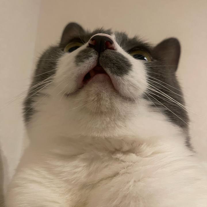 5699c3bf c50b 41b8 ab37 56c8ba9b10de 1721558455851