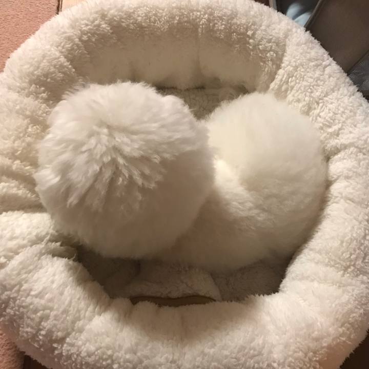 5699ca90 fdad 45b7 87df 4e9134b96003 1571128582234