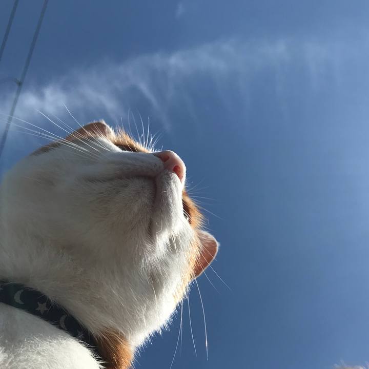 569a3000 d22a 44c4 8719 e8e105e8a542 1530321056030