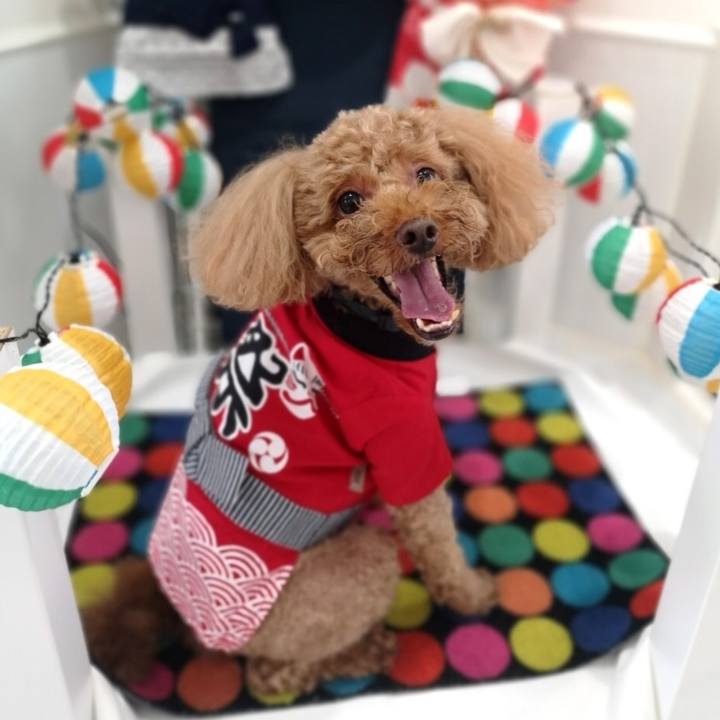 569a3b76 ea75 412e b35f 5af6c561a302 1626527788675