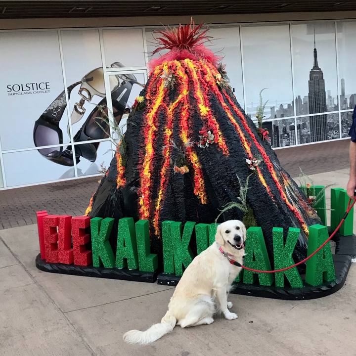 569a653d 6724 449c aeb5 ce21167bd9fd 1543624187872