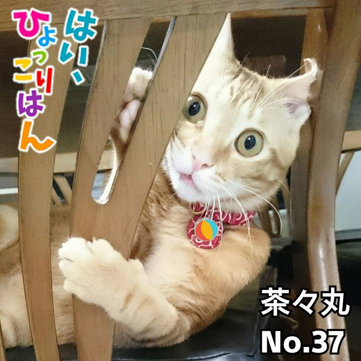 569a7c67 698d 460b bd31 64510212f728 1526730388230