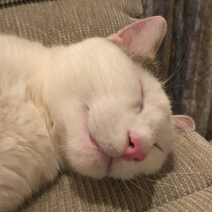 569a85cc ccd9 4d0a aa15 7a28d473a5fd 1543488353987