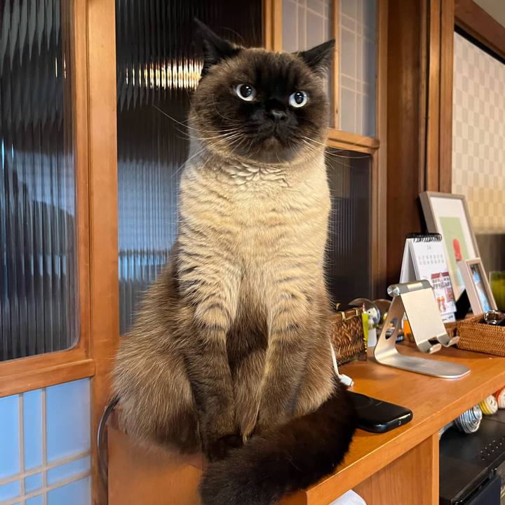 569a8aa4 e759 44a9 a38b e51c29e366dd 1680865327851