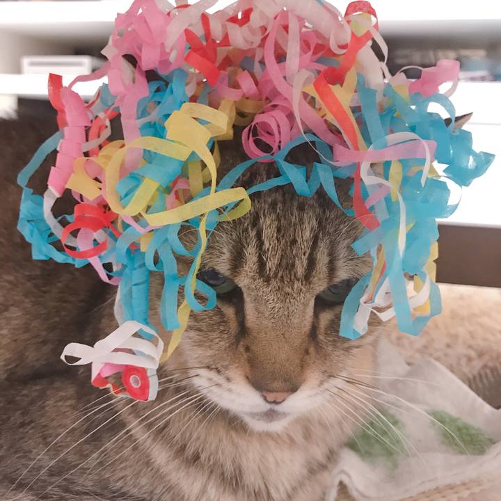 569a90f6 46d5 4442 ba50 3c5a078c7888 1592543215464