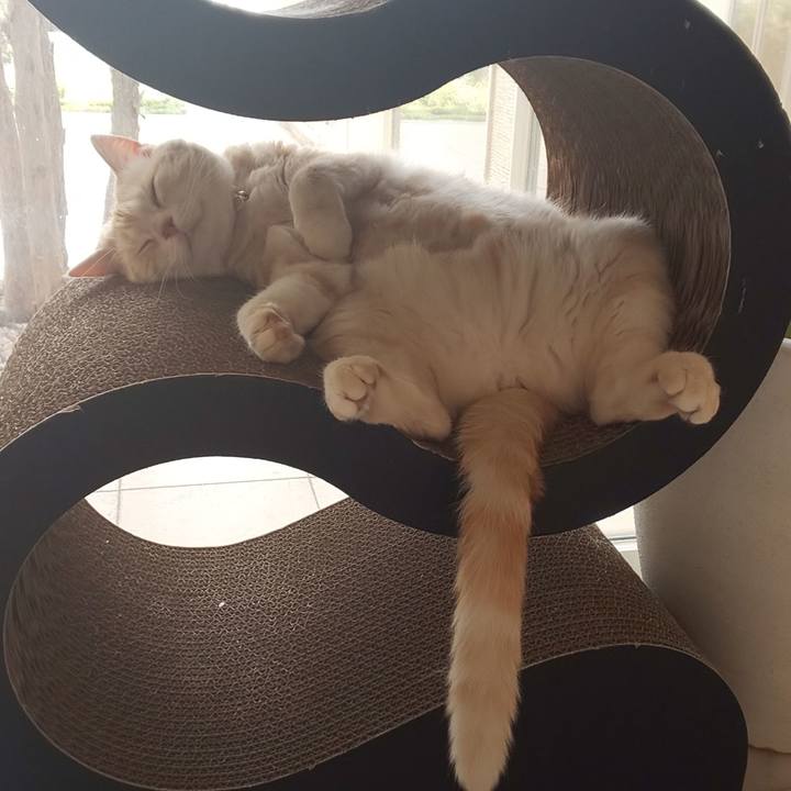 569aa65c 0bb2 4060 bce4 d360c3537c25 1559377534520