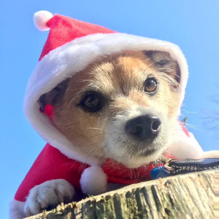 569aa86c 4a5e 4944 9d55 690b25bc1a9f 1640334227795