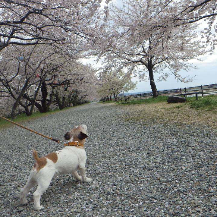 569ac224 a414 4a0f acb6 89b667473459 1586690976667