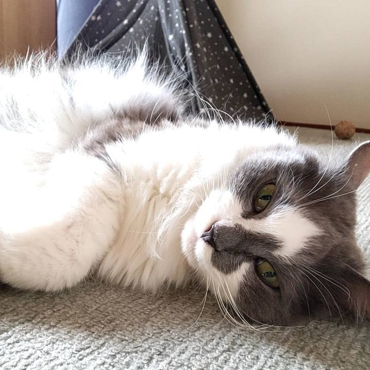 569adade 3f6b 46fc a41e afb25c2fd8ef 1695537342465